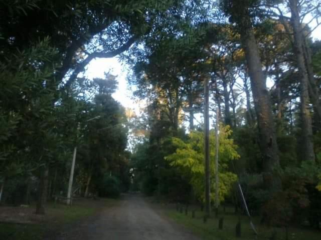 Cabana,chalet Alpino Bosques De Peralta Ramos Holiday home *